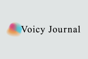 Voicy Journal