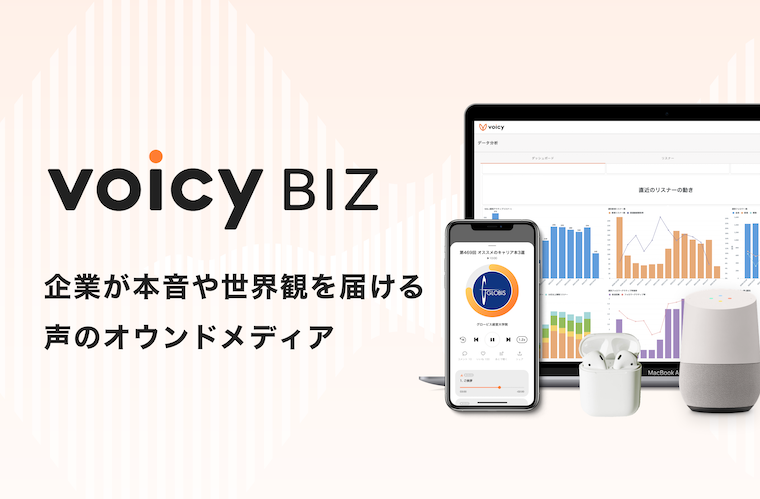 VoicyBiz